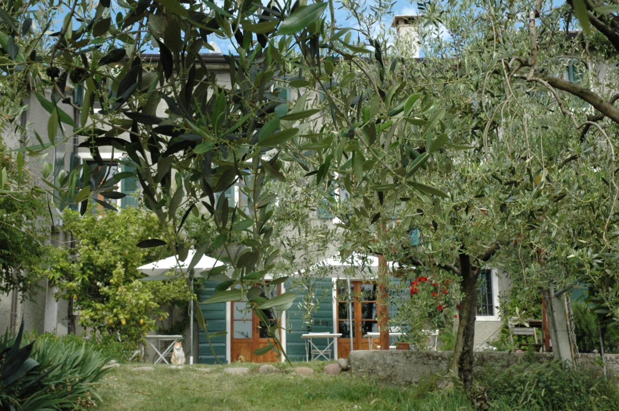 Agriturismo Tenuta La Pergola Bardolino Exterior photo