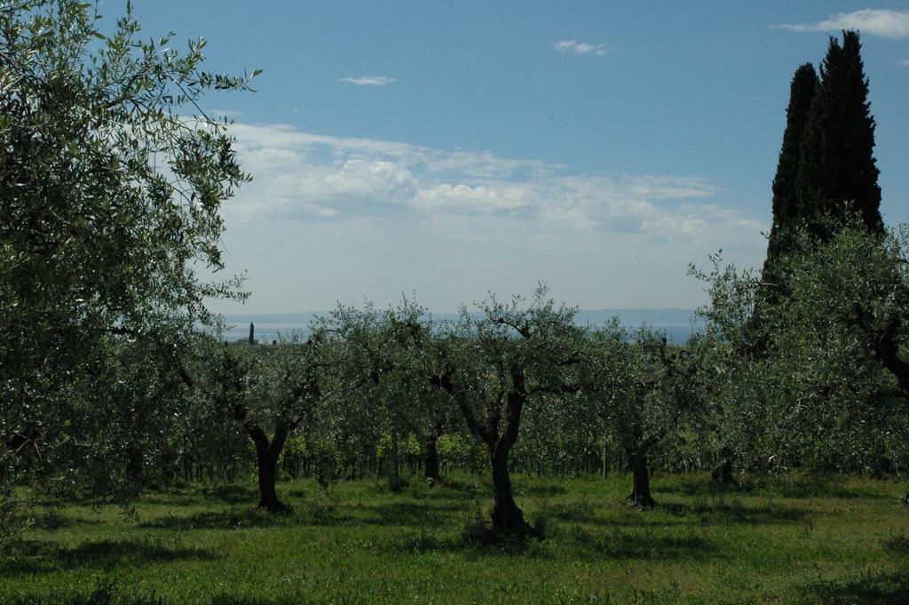 Agriturismo Tenuta La Pergola Bardolino Exterior photo
