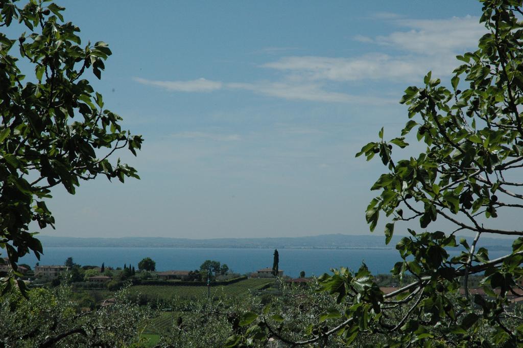 Agriturismo Tenuta La Pergola Bardolino Exterior photo