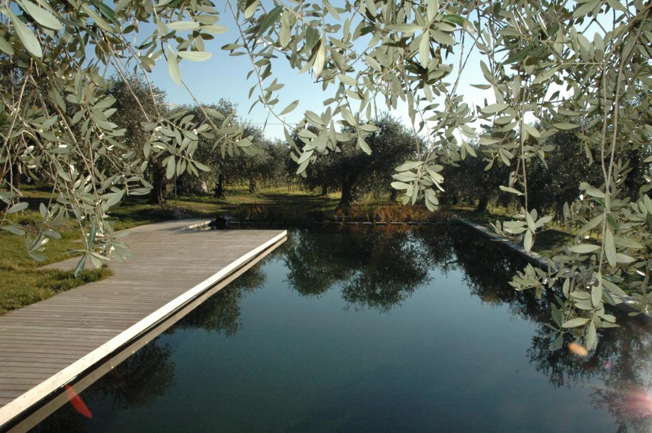 Agriturismo Tenuta La Pergola Bardolino Exterior photo