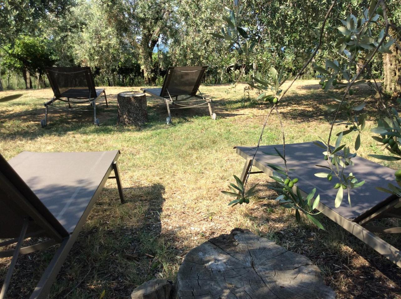 Agriturismo Tenuta La Pergola Bardolino Exterior photo